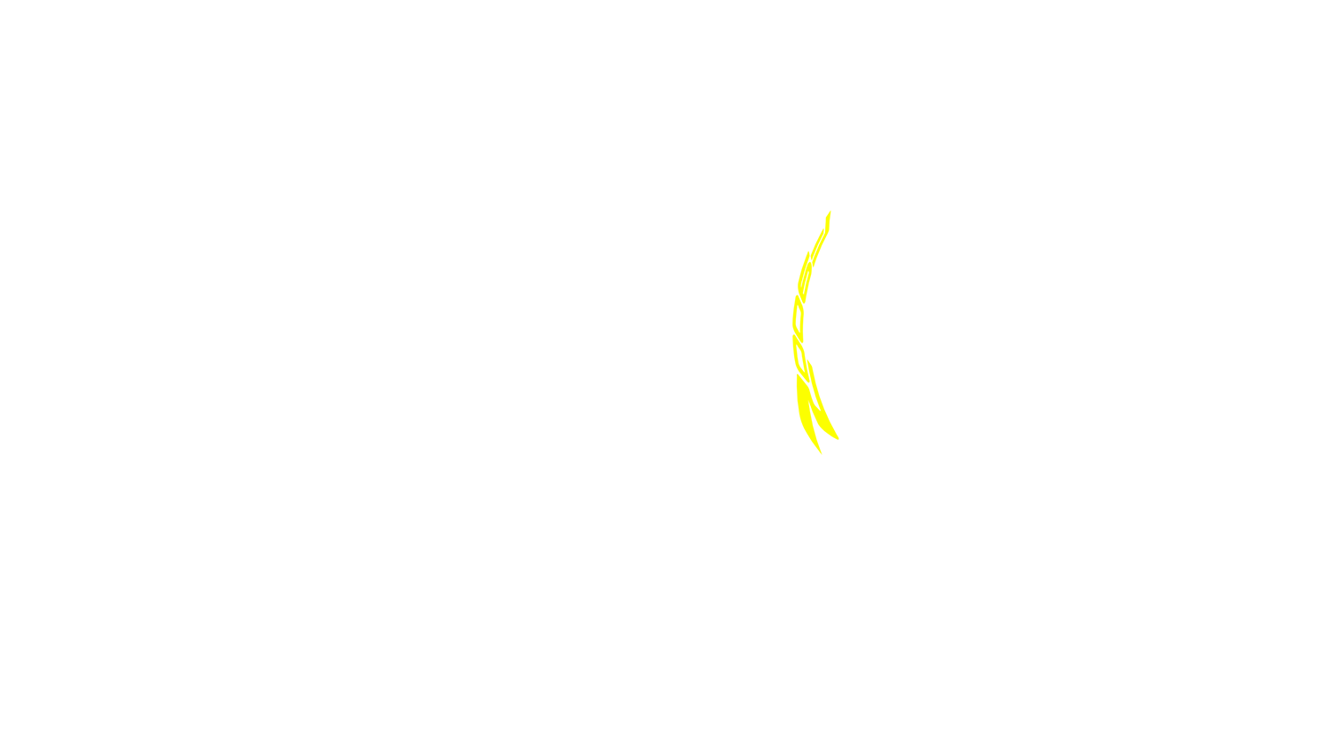 Opción de imagen del Configurador de Productos Visuales
