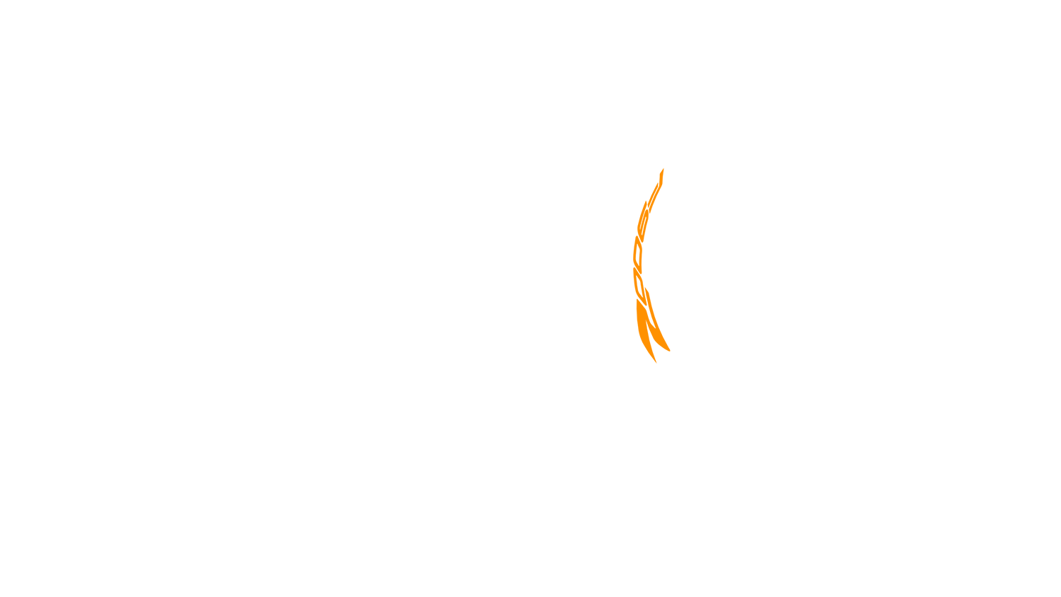 Opción de imagen del Configurador de Productos Visuales
