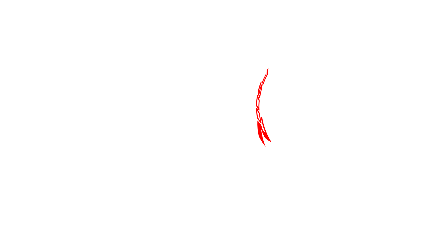 Opción de imagen del Configurador de Productos Visuales