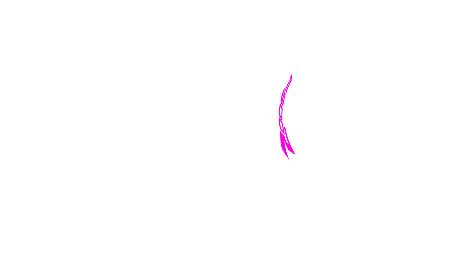 Opción de imagen del Configurador de Productos Visuales