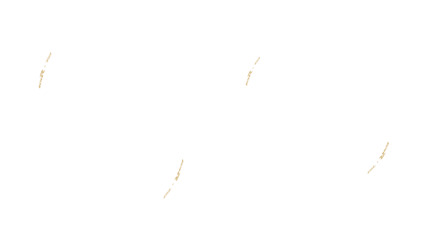 Opción de imagen del Configurador de Productos Visuales