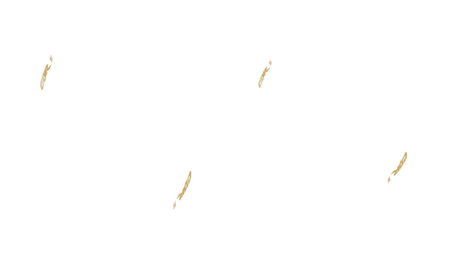 Opción de imagen del Configurador de Productos Visuales
