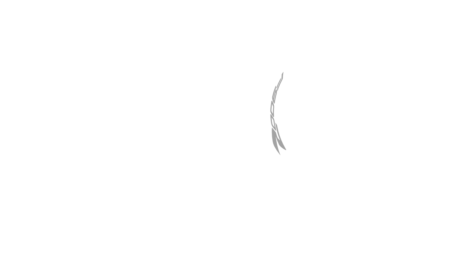Opción de imagen del Configurador de Productos Visuales