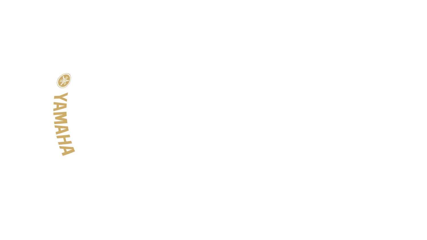 Option Bild des Konfigurators für visuelle Produkte