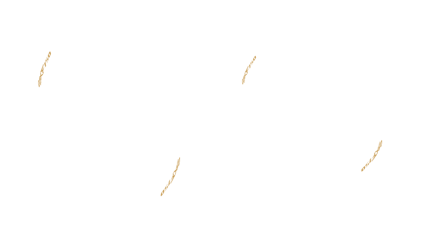 Visuella produkter Konfigurator bildalternativ