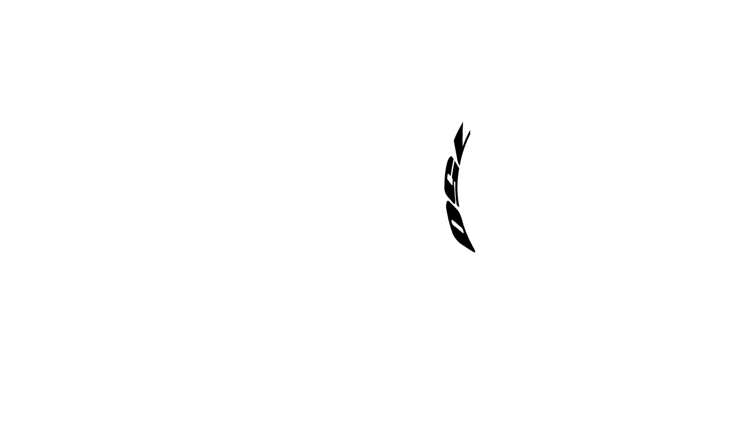 Opción de imagen del Configurador de Productos Visuales
