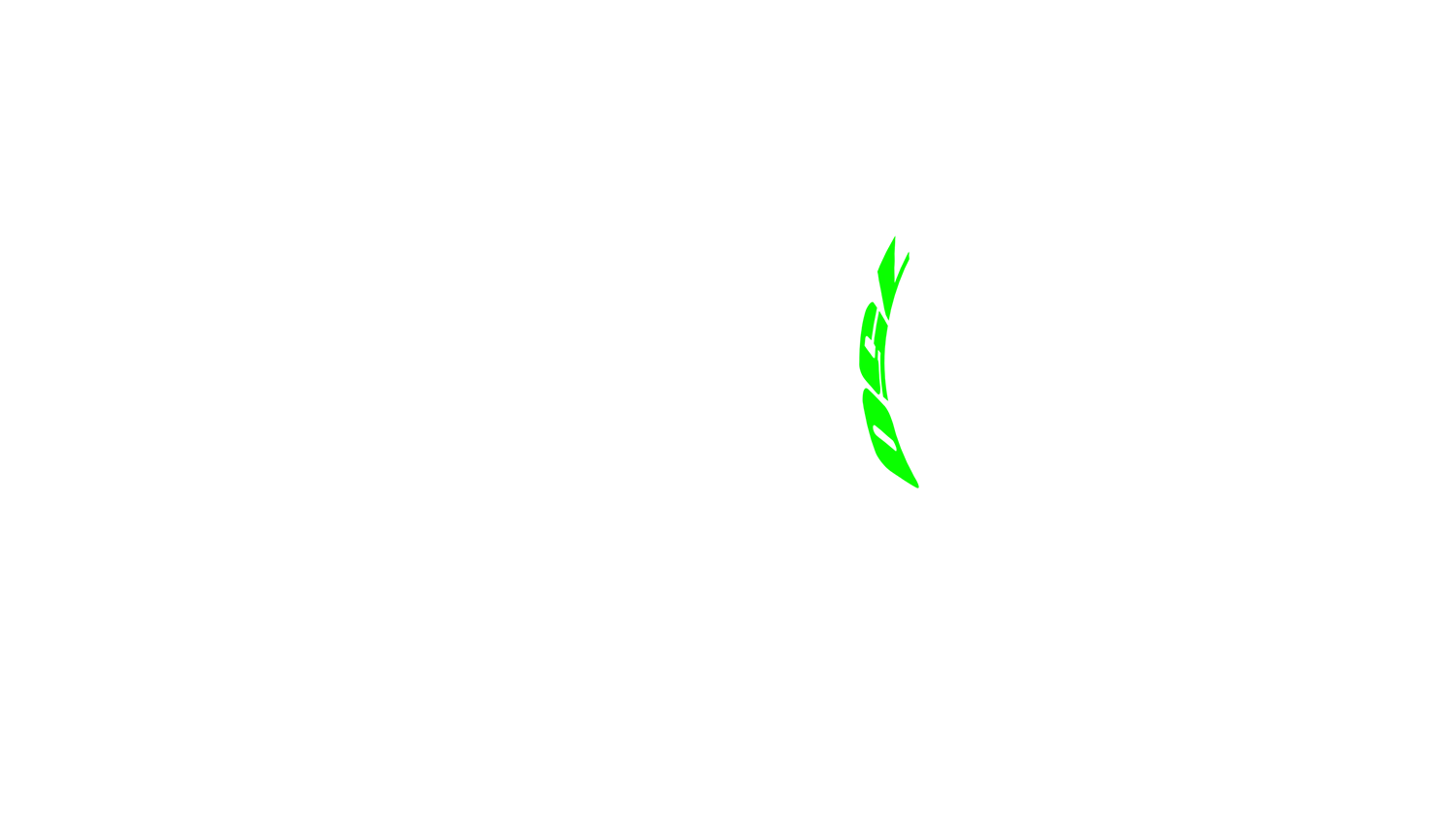 Opción de imagen del Configurador de Productos Visuales