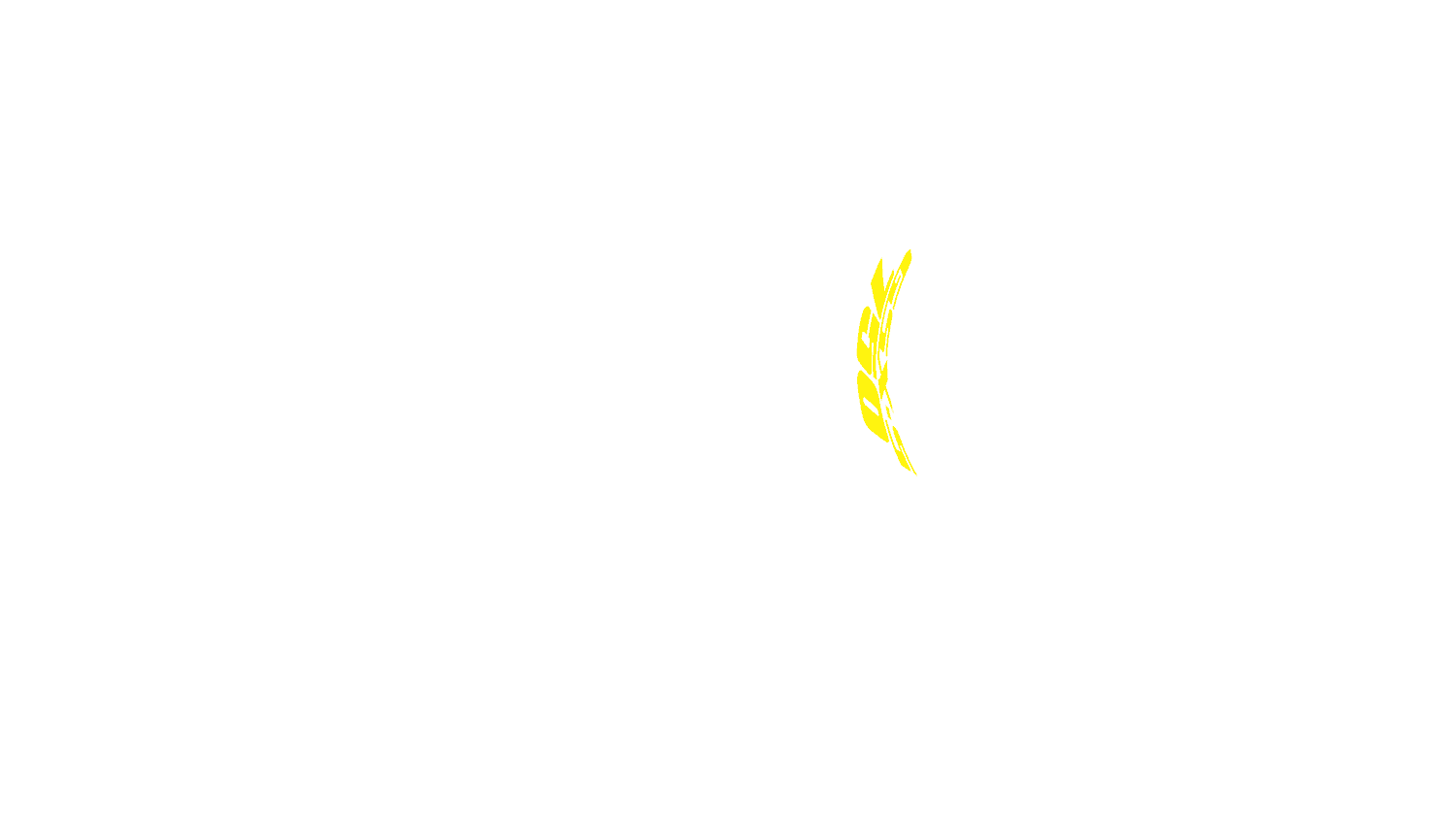 Opción de imagen del Configurador de Productos Visuales