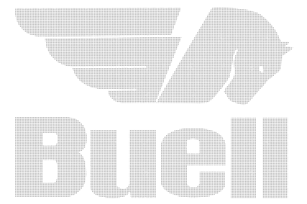 миниатюрни Buell
