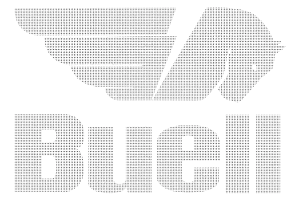 minijature Buell