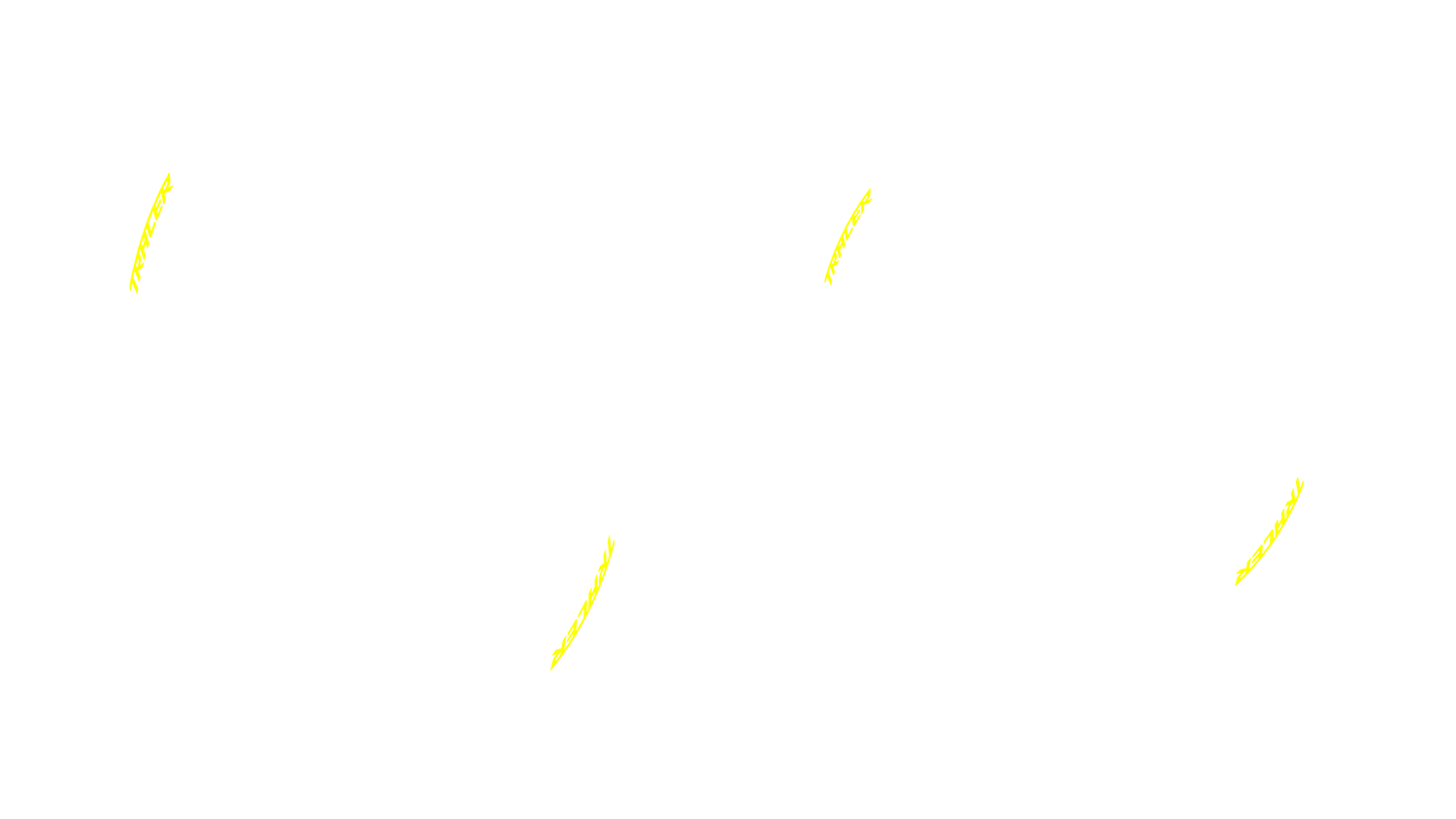 Option Bild des Konfigurators für visuelle Produkte