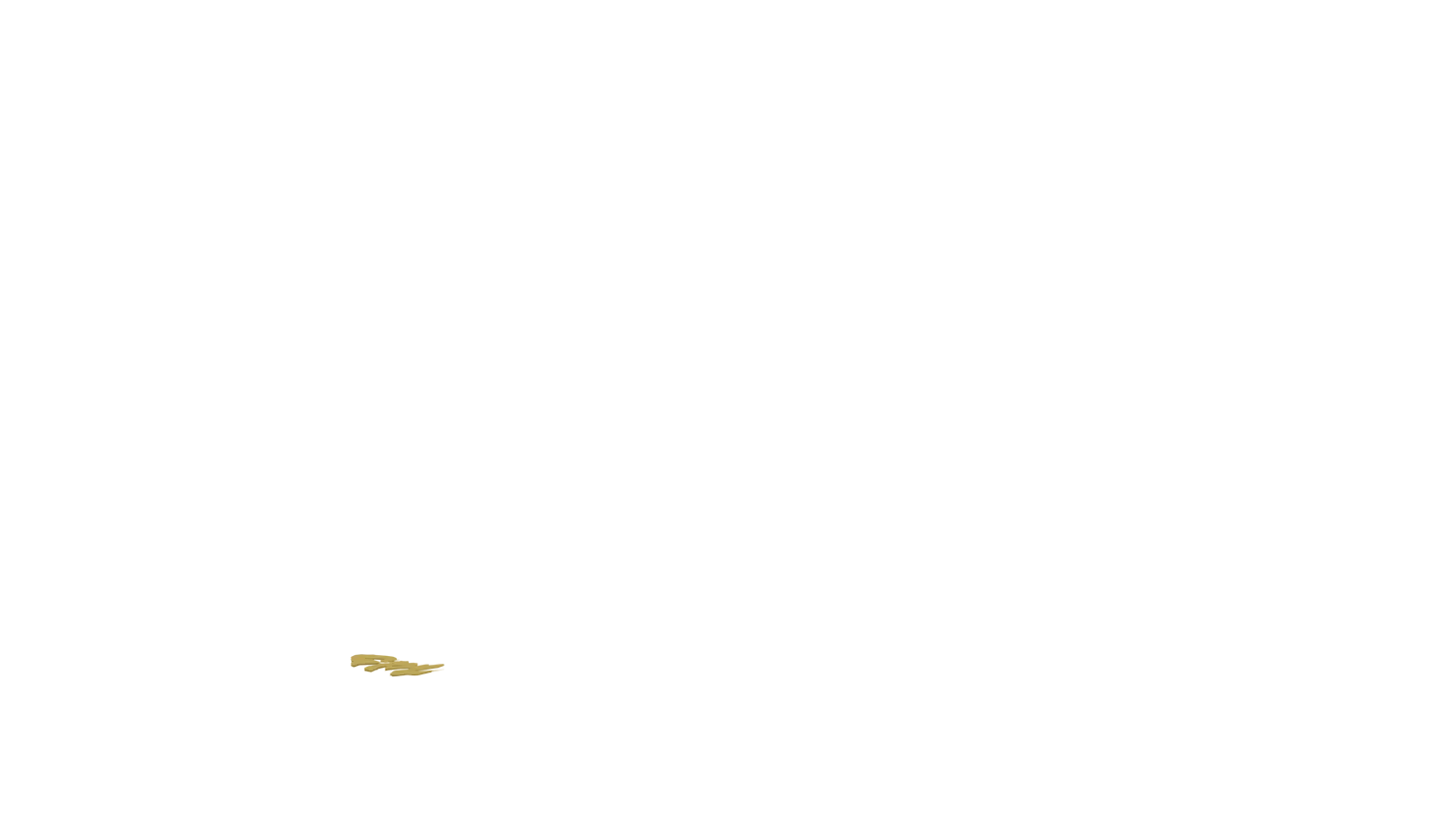 Option Bild des Konfigurators für visuelle Produkte