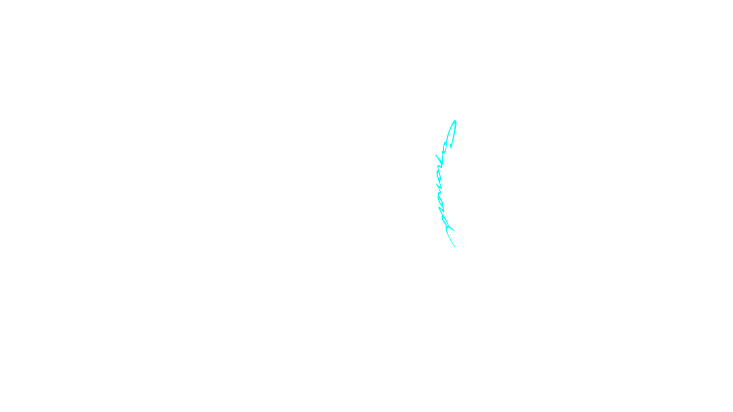 Opción de imagen del Configurador de Productos Visuales