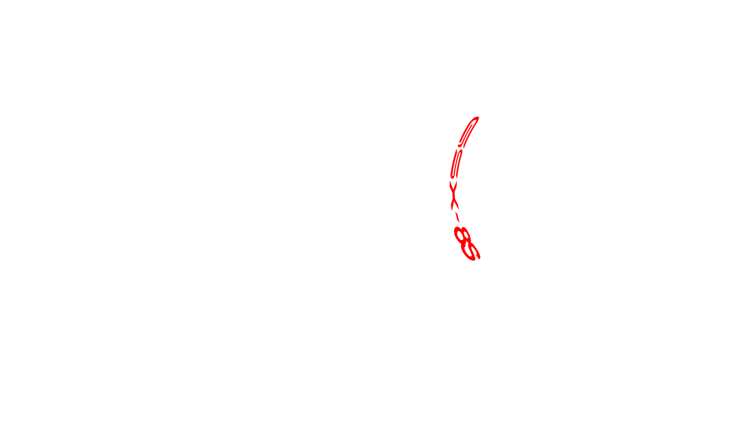 Option Bild des Konfigurators für visuelle Produkte