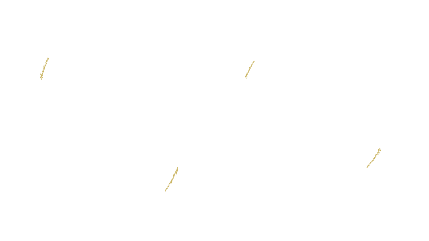 Opción de imagen del Configurador de Productos Visuales