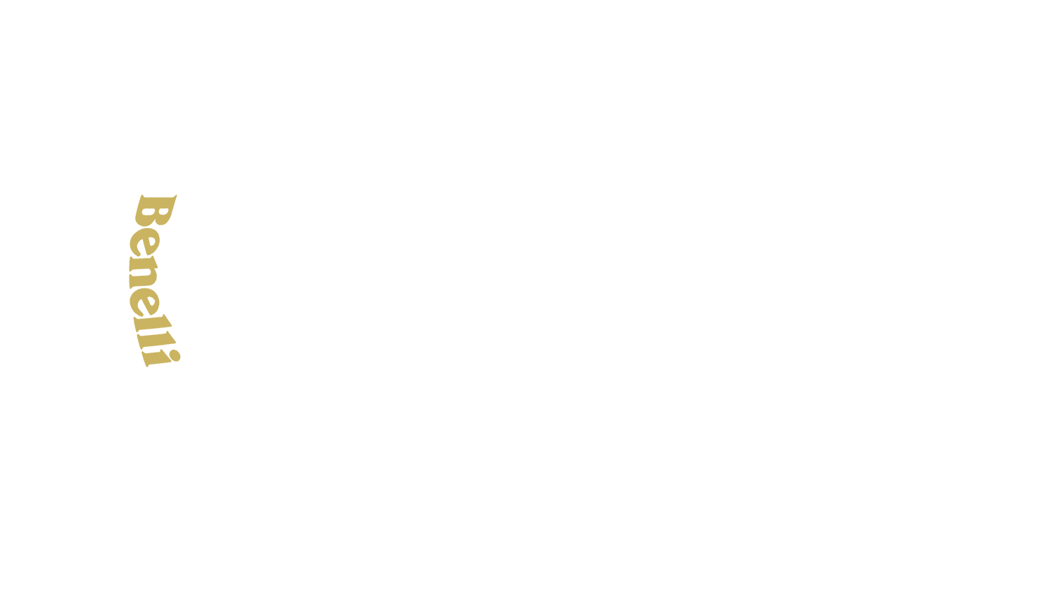 Option Bild des Konfigurators für visuelle Produkte