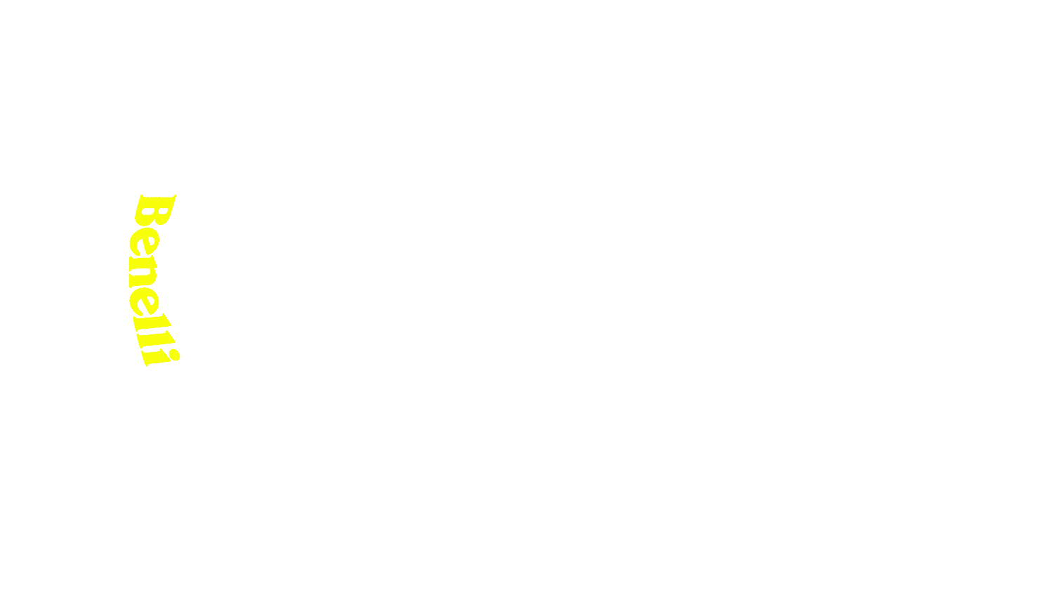 Option Bild des Konfigurators für visuelle Produkte