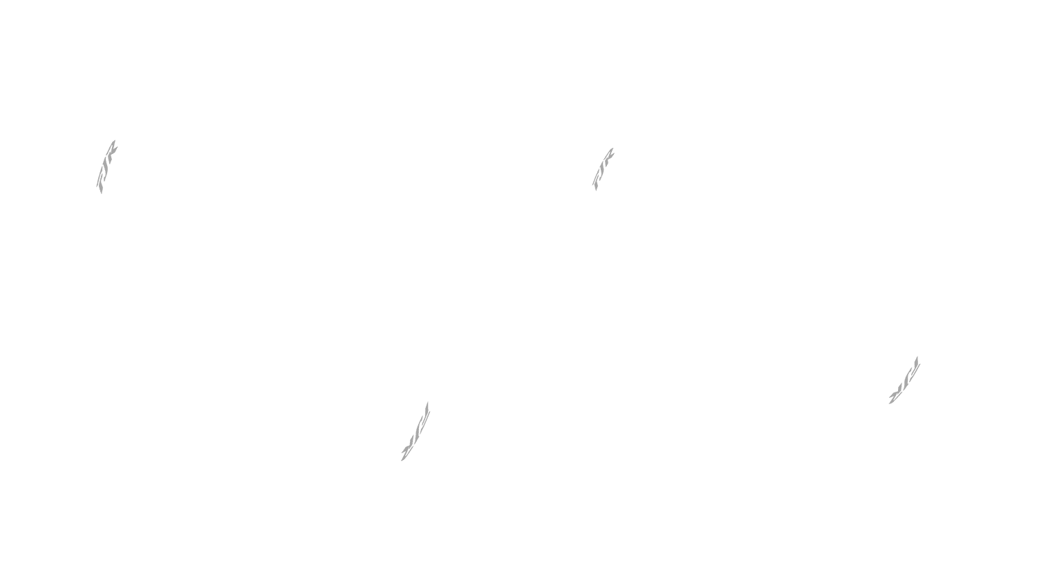 Opción de imagen del Configurador de Productos Visuales