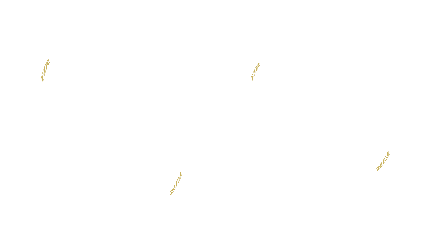 Opción de imagen del Configurador de Productos Visuales