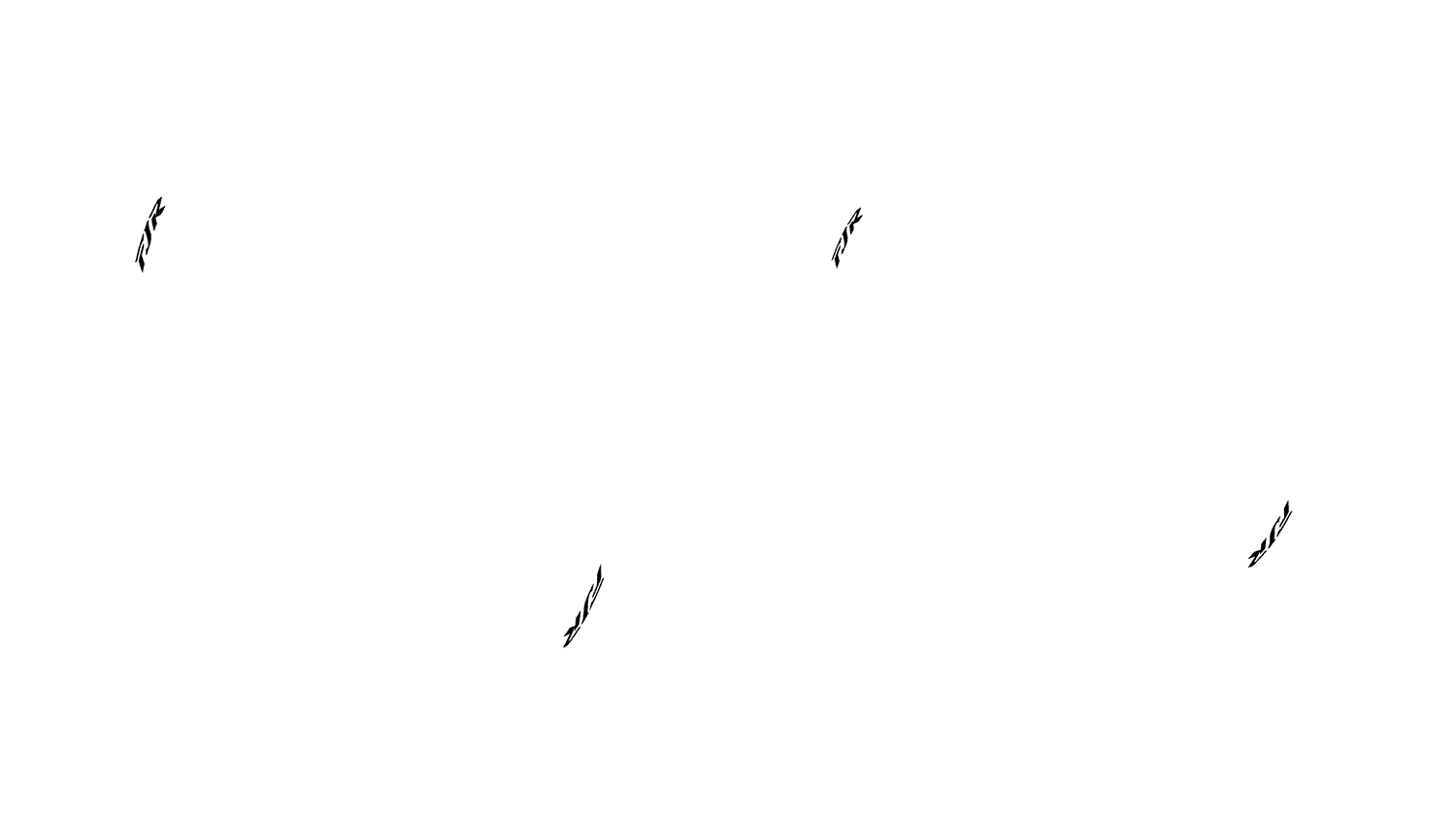 Opción de imagen del Configurador de Productos Visuales
