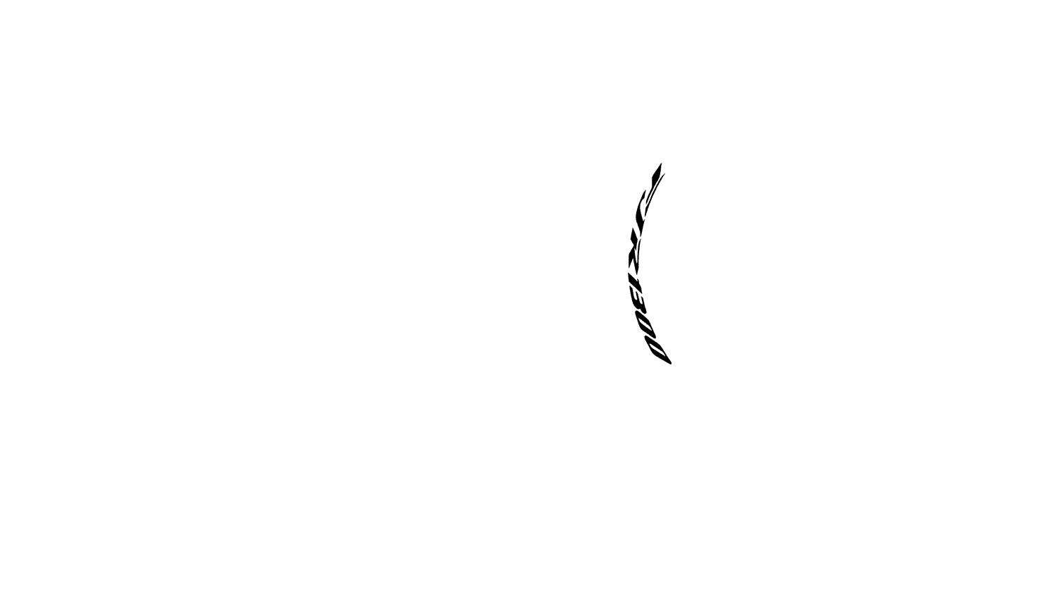 Opción de imagen del Configurador de Productos Visuales