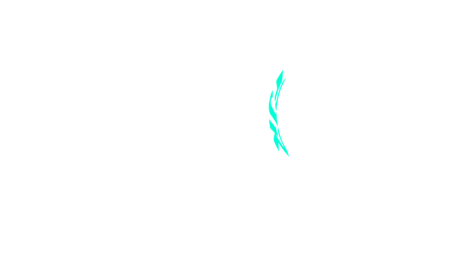 Opción de imagen del Configurador de Productos Visuales